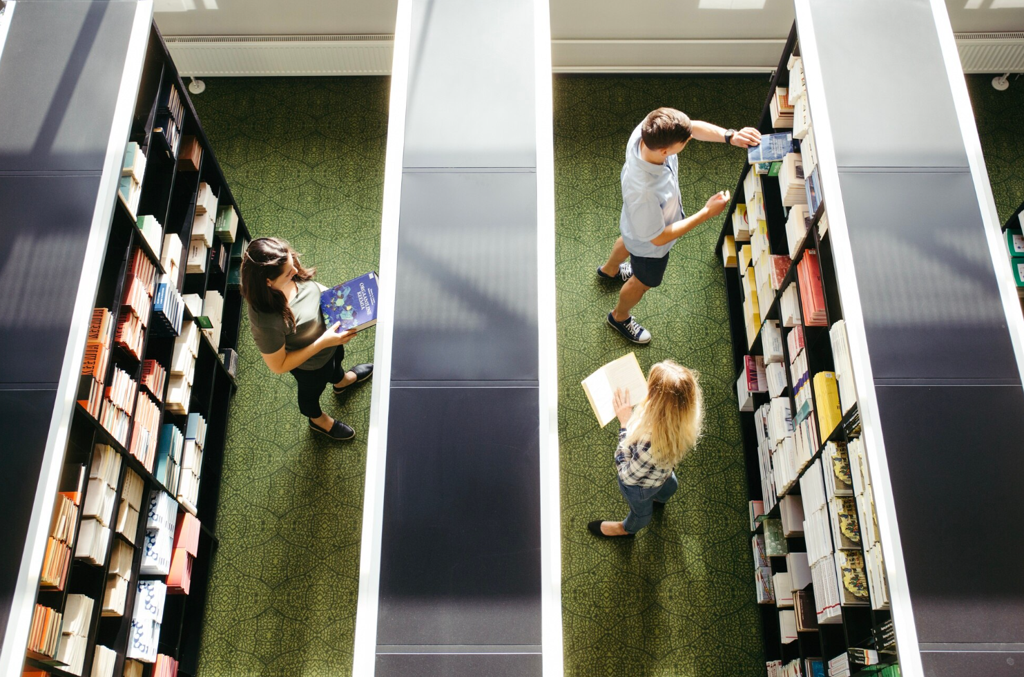 Wall-to-Wall Carpet Design Trends in 2025